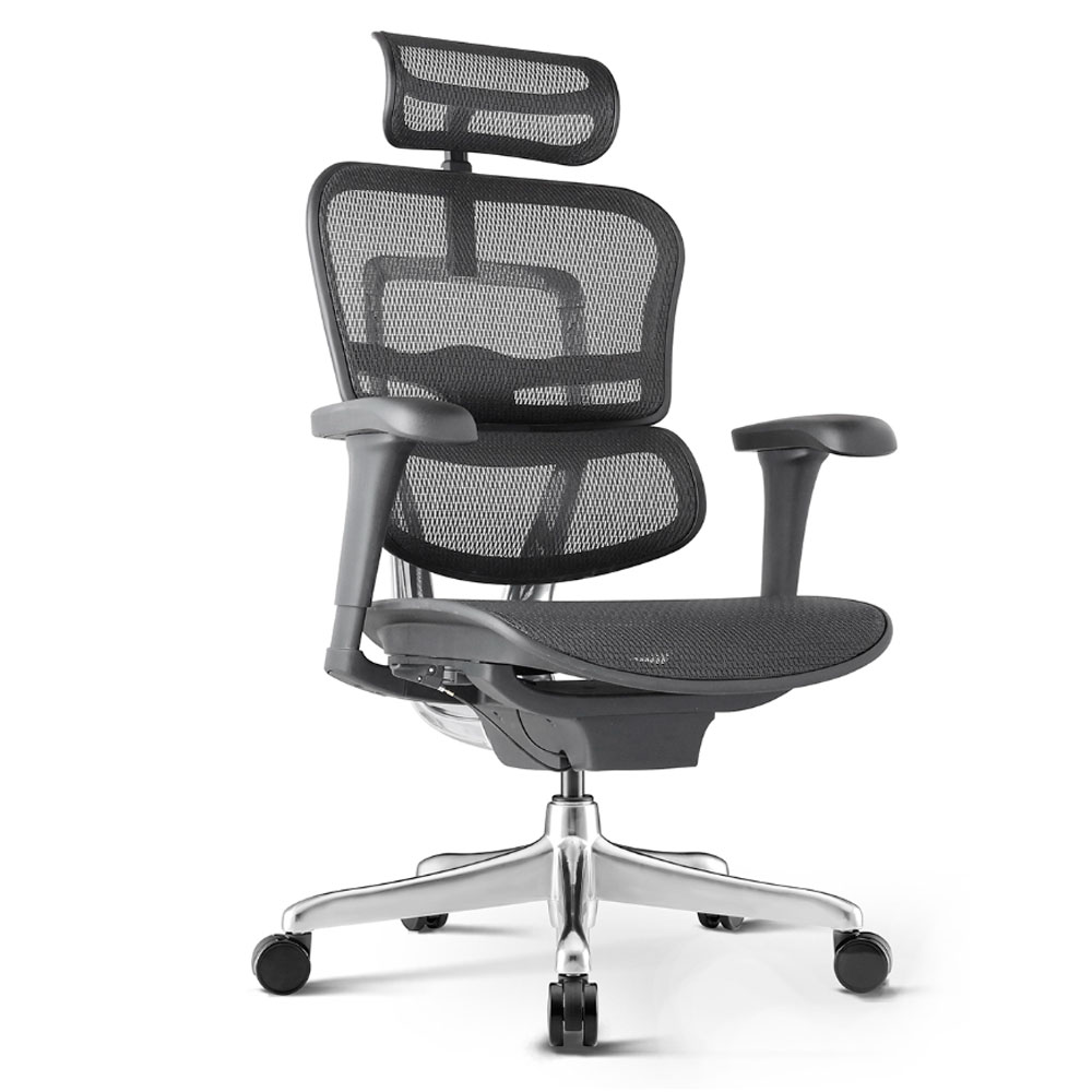 Silla Ergohuman Eco Presidente para oficina