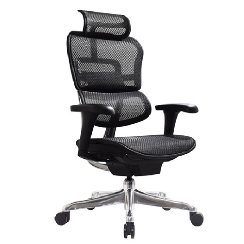 Silla Eromesh Premium Presidente para oficina